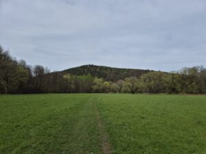 Greizer Hundewiese