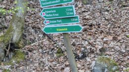 Wegweiser