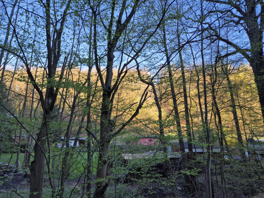 Blick in die Gartenkolonie