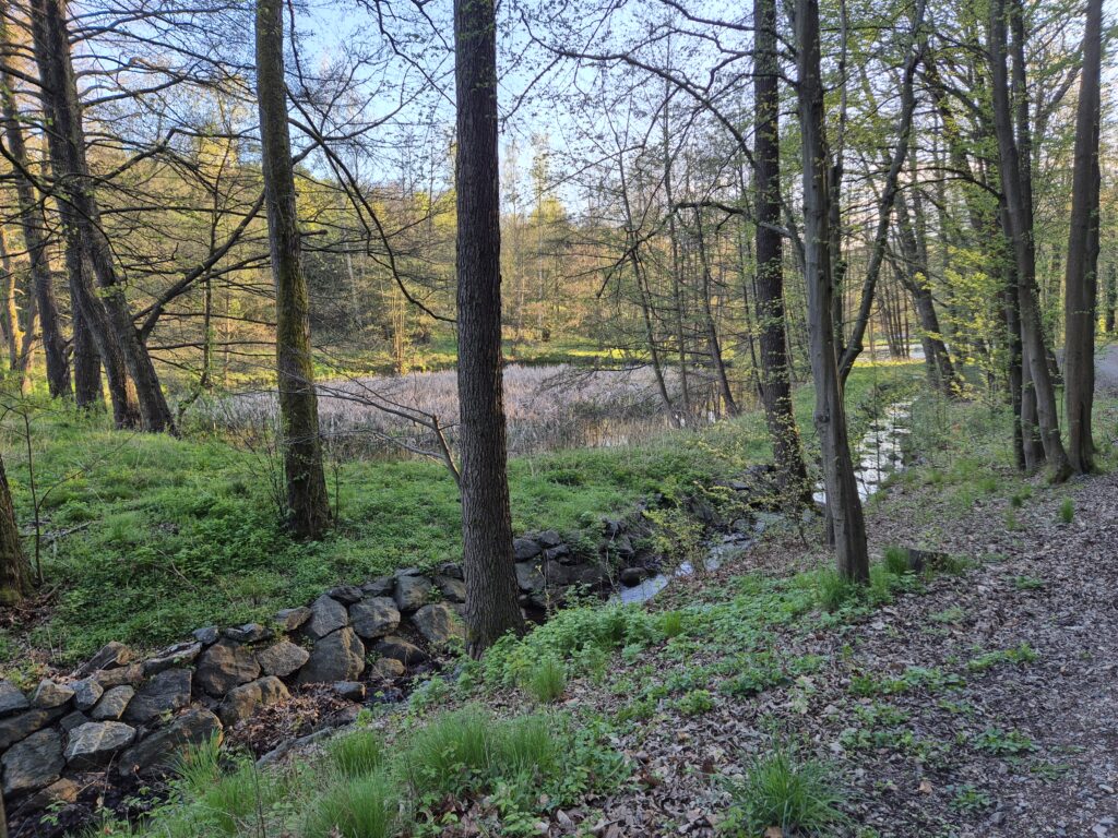 der mittlere Teich