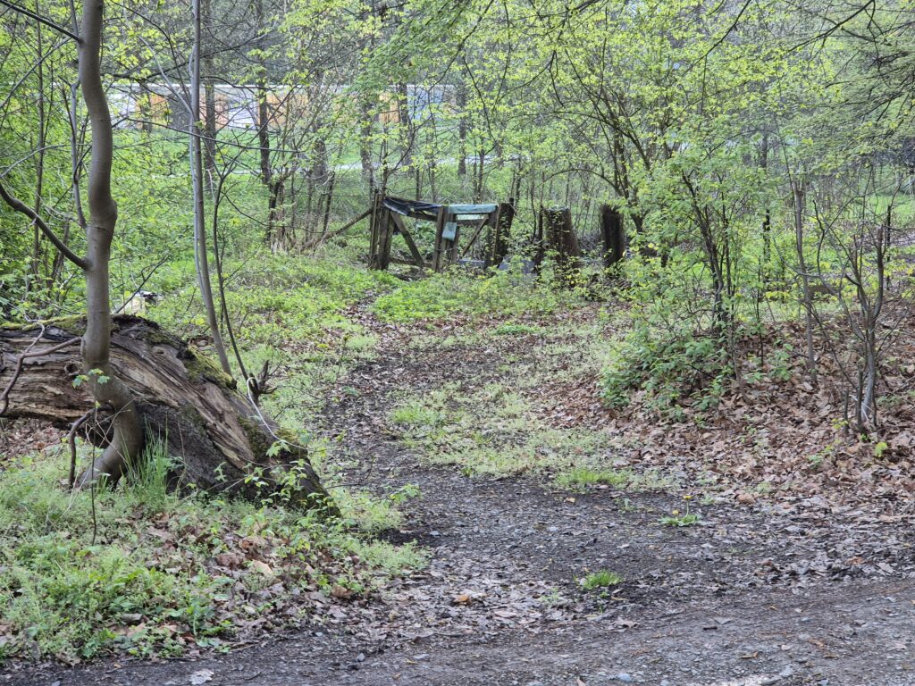 verlassener Garten