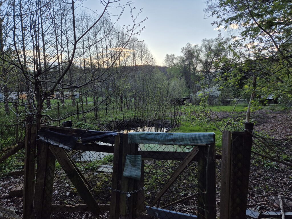 Verlassener Garten, die Natur erobert ihn zurück