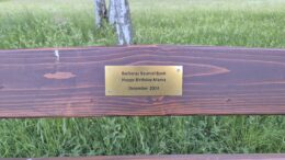 Schild