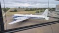 IL-18