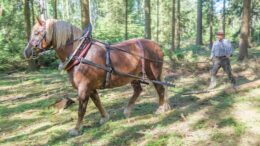 Foto: Landratsamt Plauen