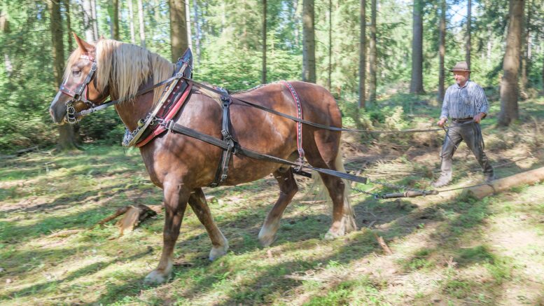 Foto: Landratsamt Plauen