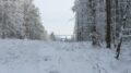 Winter (Bild: HBV; CR007)