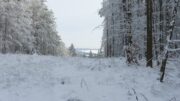 Winter (Bild: HBV; CR007)