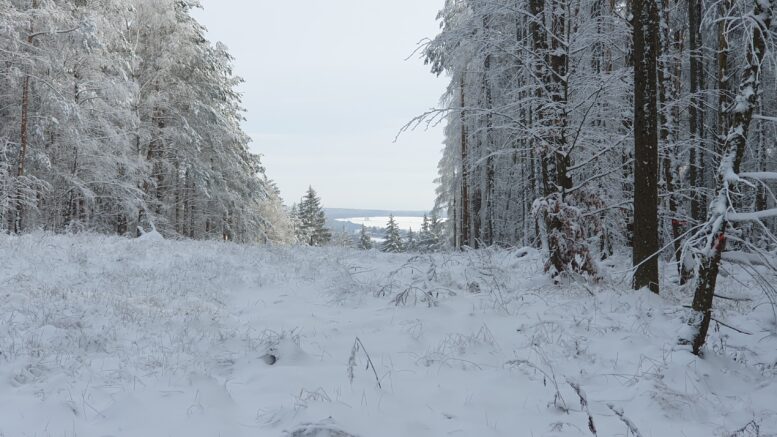 Winter (Bild: HBV; CR007)